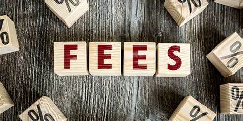 Fundraising consultancy fees