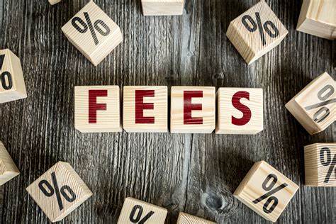 Fundraising consultancy fees